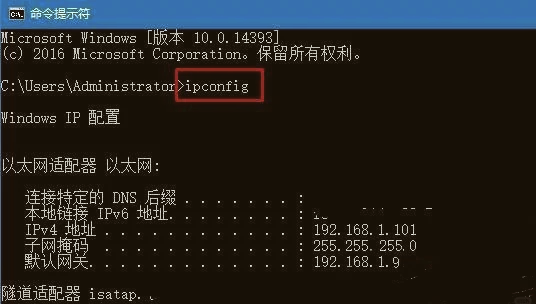 如何在命令提示符中查找域名的IP地址